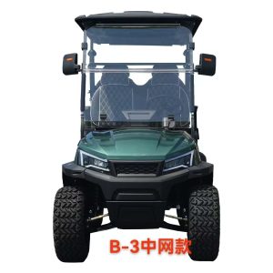 B-3 Electric Golf Carts